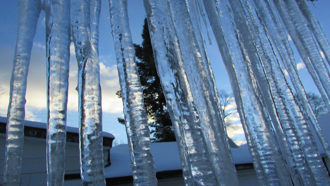 sky, cold temperature, no people, outdoors, winter, low angle view, snow, day, nature, close-up, architecture