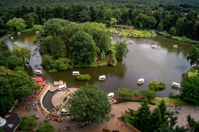 High angle view of road by trees