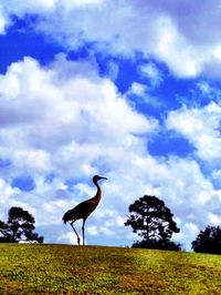 Birds on grassy field