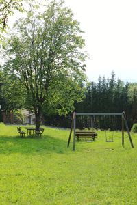 Trees in park against clear sky