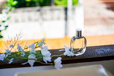 Close-up of drink on table