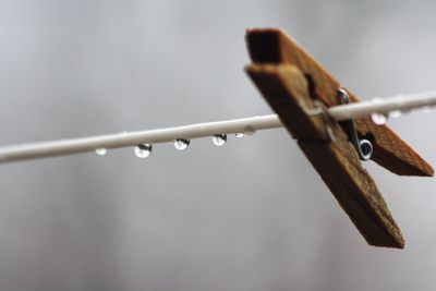 Low angle view of wooden clothespin on wet cable