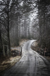 Empty road amidst trees in forest