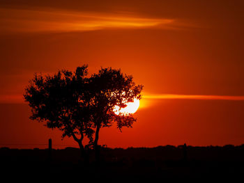 Silhouette tree on field against romantic sky at sunset