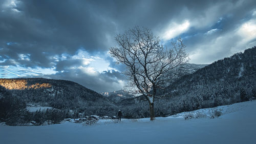 Bare trees on snow covered land against sky