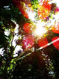 Low angle view of trees