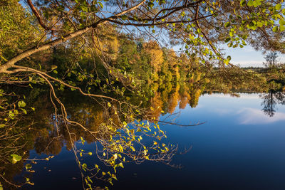 Trees by lake against sky during autumn