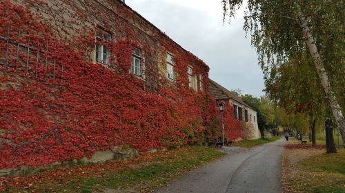 Road amidst buildings against sky during autumn