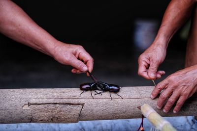 Close-up of person working on wood