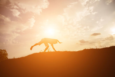 Silhouette person on land against sky during sunset