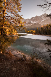 Scenic view of lake by trees against sky