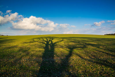 Shadow on grassy landscape against blue sky