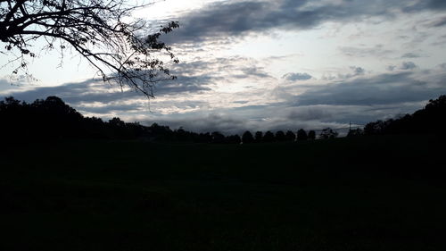 Silhouette trees on field against sky