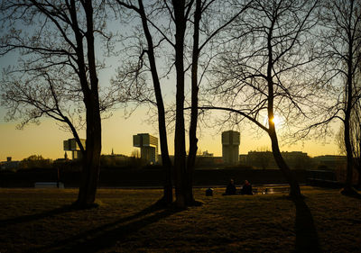 Silhouette of bare trees in park at sunset
