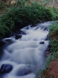 Scenic view of waterfall in forest