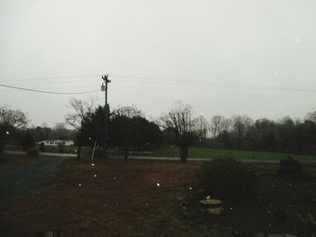 Trees on field against clear sky