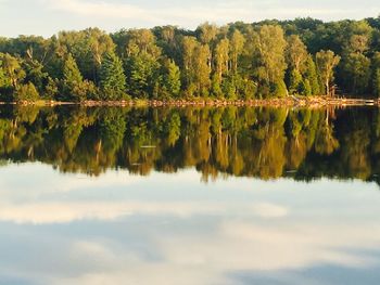 Reflection of trees in lake