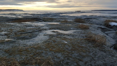 Scenic view of beach against sky during winter at sunset