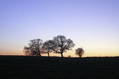 Silhouette trees on field against sky during sunset