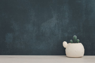 Close-up of potted plant on table against wall