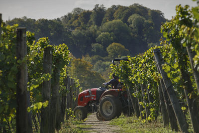 Tractor on agricultural field