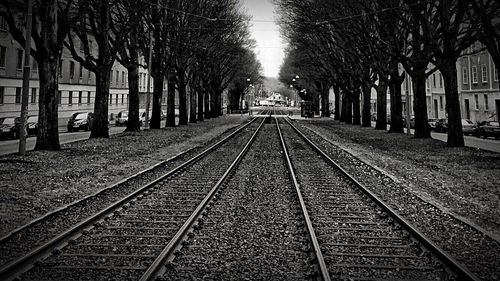 Railroad tracks amidst trees against sky