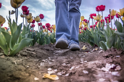 Low section of person standing on field