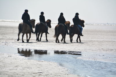 Rear view of people riding horse at beach