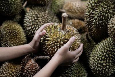 Close-up of hand holding a durian fruit at  night market