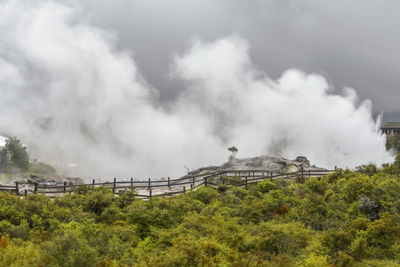 Scenery around the geothermal valley te puia in new zealand