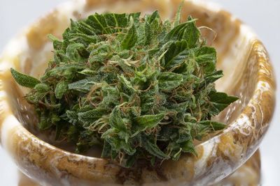 Close-up of vegetables in plate on table