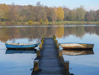 Wooden posts in lake against trees