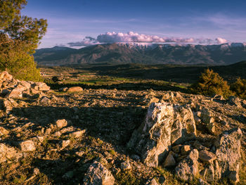 Scenic view of landscape against sky