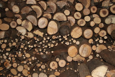 Full frame shot of logs in forest