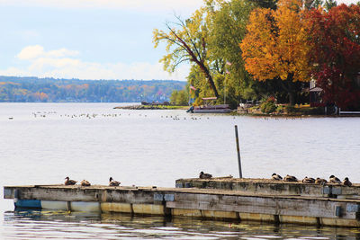 Scenic view of lake against sky during autumn