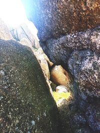 Close-up of water on rock