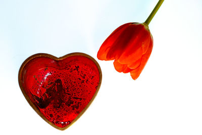 Close-up of heart shape over white background