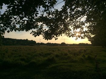 Scenic view of grassy field against sky