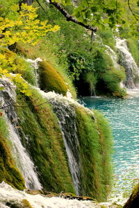 River flowing through rocks