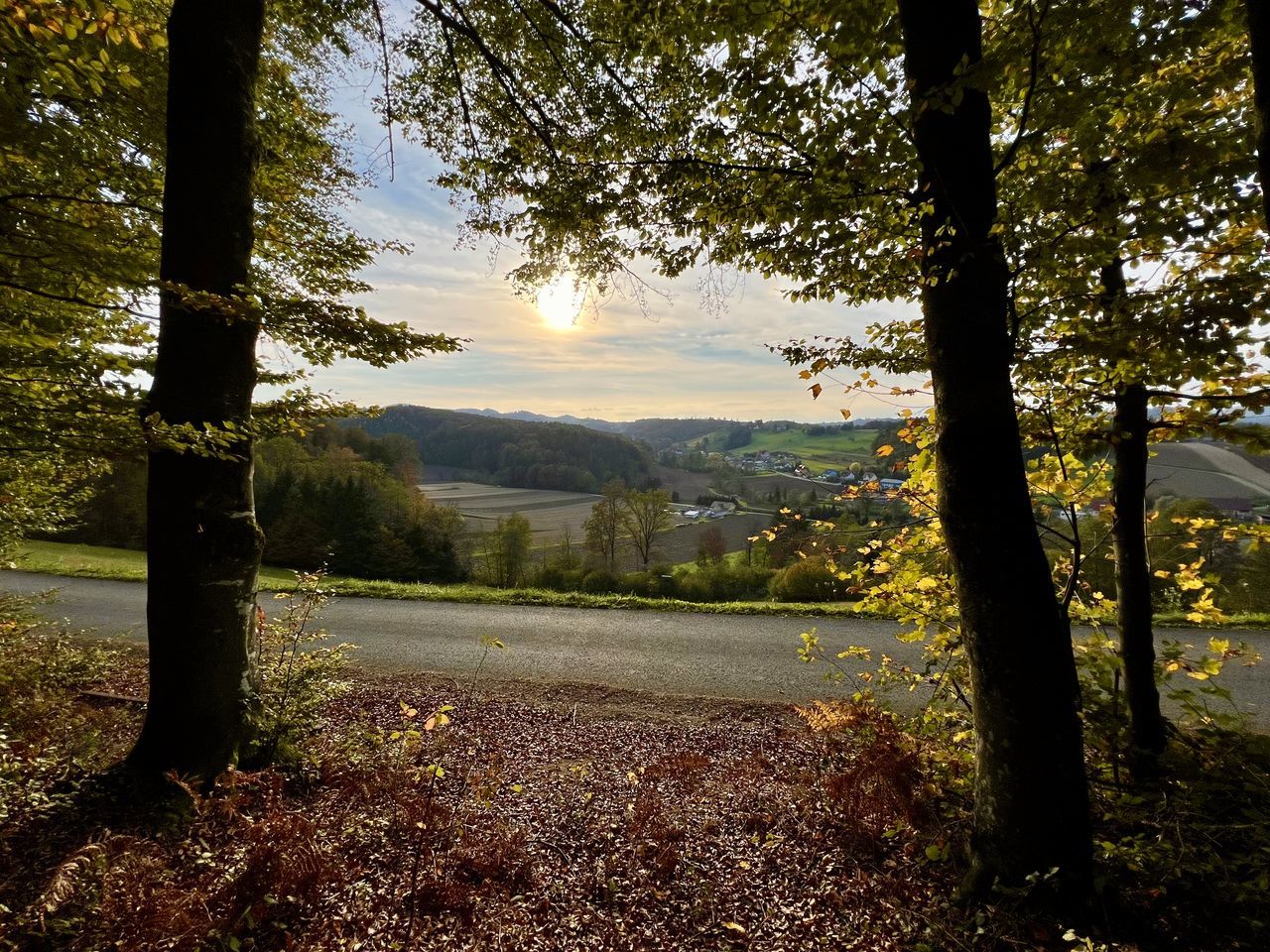 Colores of autumn