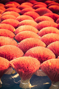 Full frame shot of incense sticks