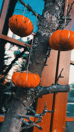 High angle view of orange bell hanging on tree by building