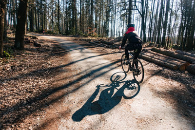 Man riding bicycle in forest