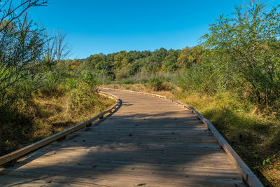 Empty footpath amidst trees against clear sky