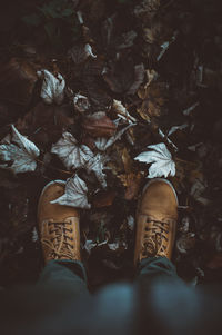 Low section of man standing on dry leaves