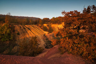 Scenic view of landscape against clear sky during autumn