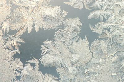 Full frame shot of white background