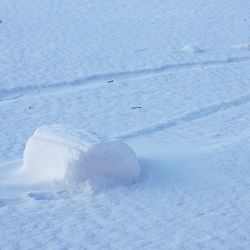 snow