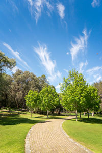 Scenic view of trees against sky