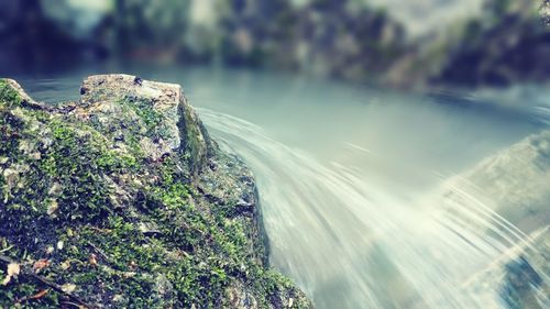 Close-up of rock by sea against sky